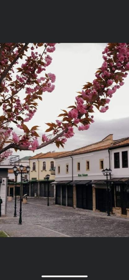 Tradicional Bazaar Home 科尔察 外观 照片