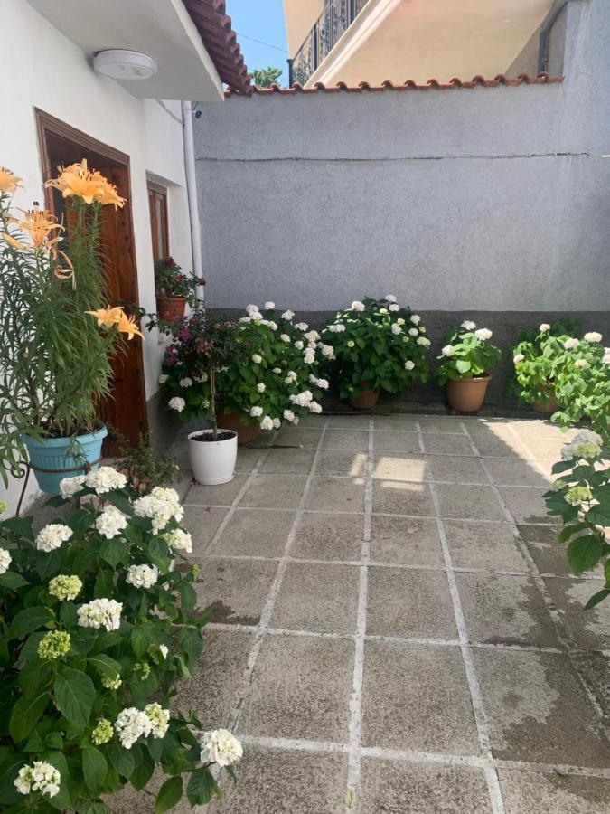 Tradicional Bazaar Home 科尔察 外观 照片